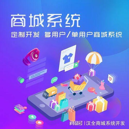出海還需借助外貿商城系統