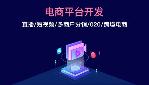 商聯(lián)達(dá)詳解 電商平臺(tái)定制開(kāi)發(fā)的前景怎么樣